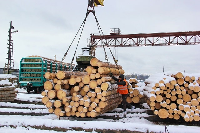 Особливості торгівлі деревиною з державних лісових господарств України - фото4