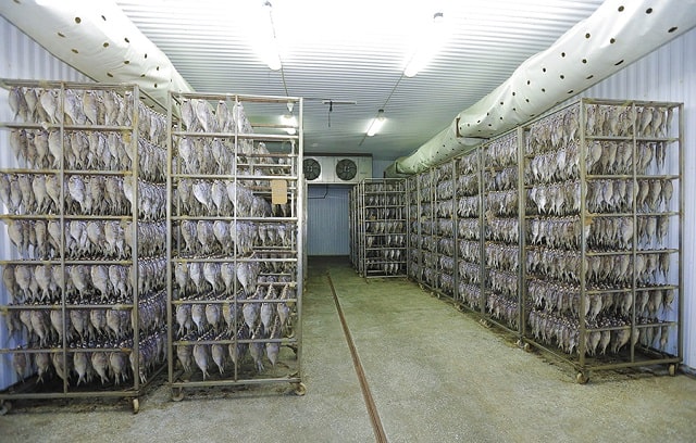 Как сушат рыбу на производстве: оборудование и особенности процессов - фото3