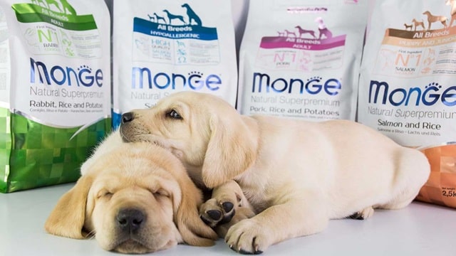 Корми для тварин Monge: що за бренд, огляд продукції, цікаві факти - фото1