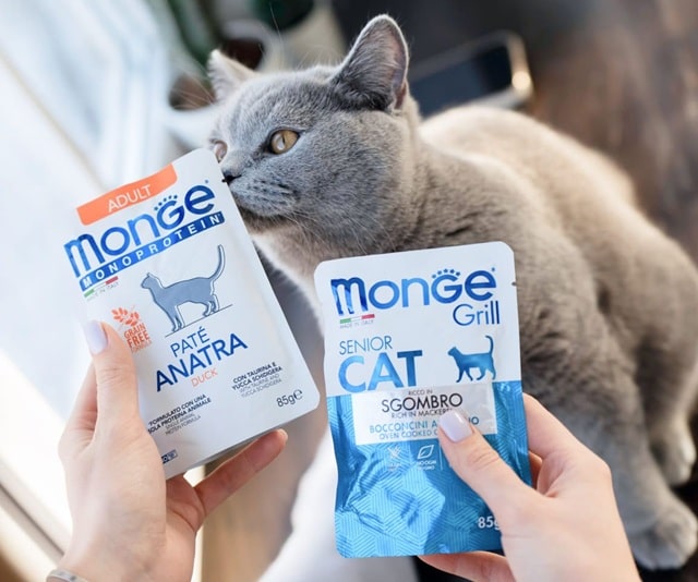 Корми для тварин Monge: що за бренд, огляд продукції, цікаві факти - фото5