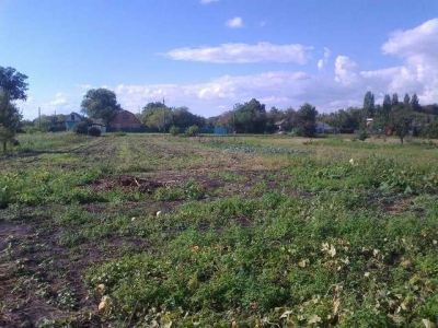 Участникам АТО раздали первых 13 гектар херсонской земли