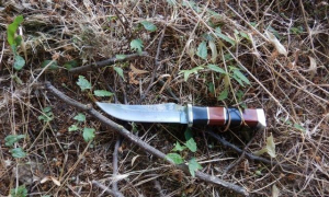 Служебная собака помогла полицейским раскрыть убийство
