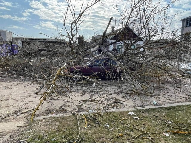 В Херсоне дерево упало на «Mercedes» - водитель едва успел выскочить из машины