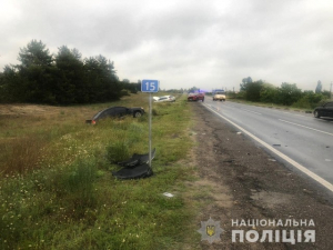 Масштабное ДТП под Херсоном: среди восьми пострадавших - шестеро детей (видео)