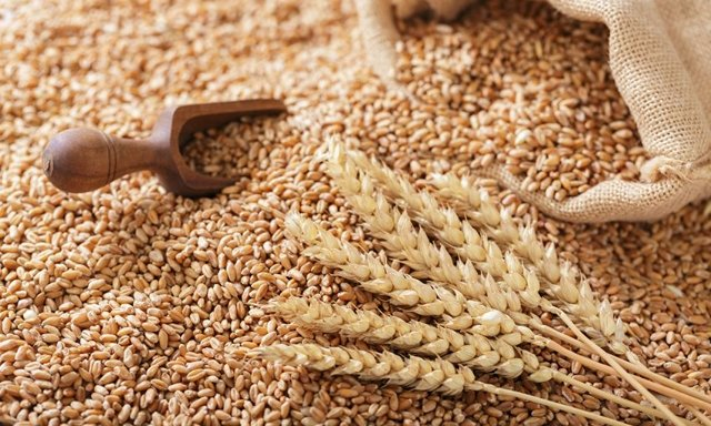 На левобережье зафиксировано падение производства сельхозпродукции