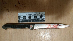 Житель Одессы подозревается в покушении на убийство в пос. Новая Маячка