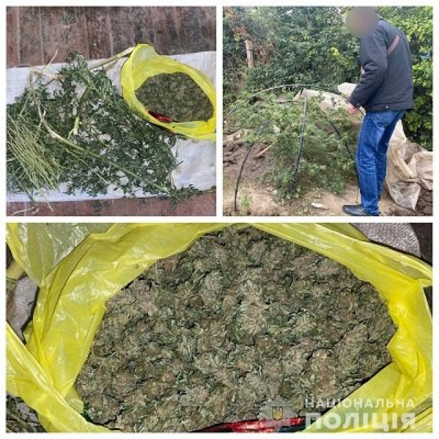 У жителя Скадоского района нашли более одного кг каннабиса