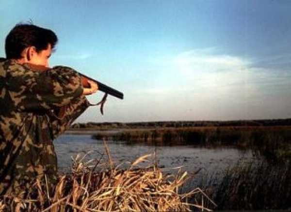 Суд обязал главного лесника Херсонщины вернуть ставок за 7 млн государству