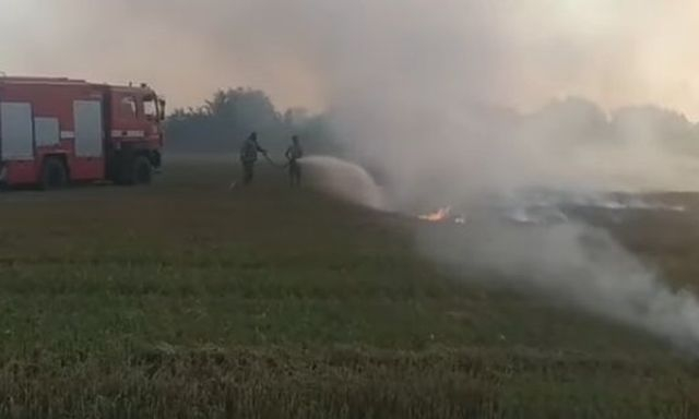 В Скадовском районе горело поле с ячменем – подозревают поджог