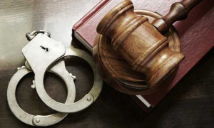 Суд в Николаеве взял под стражу подозреваемую в коллаборационизме