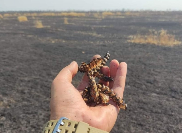 Вражеские дроны выжигают сельскохозяйственные поля