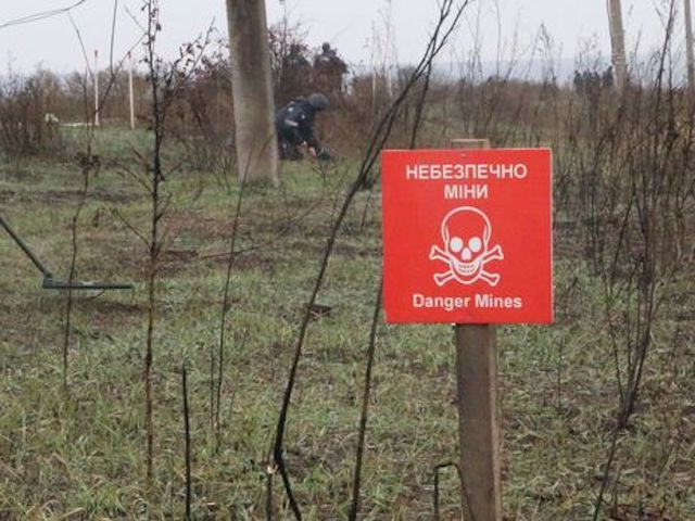 Во время работы в поле на кассетном боеприпасе подорвался мужчина
