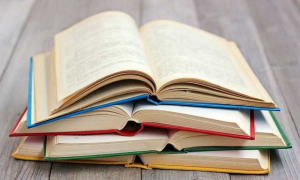 Поселковая библиотека получила книги от Корсунь-Шевченковской гимназии