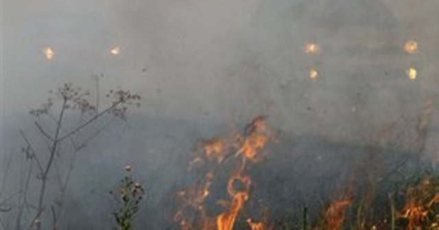 Пожар в «Аскании-Новой» уничтожил более 900-от гектаров заповедной степи