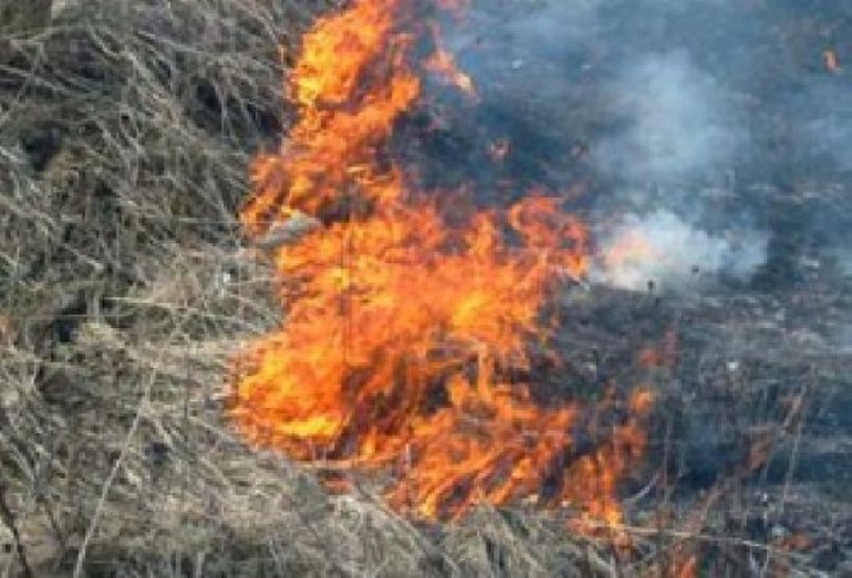 Огонь в Приозерном едва не уничтожил несколько домов