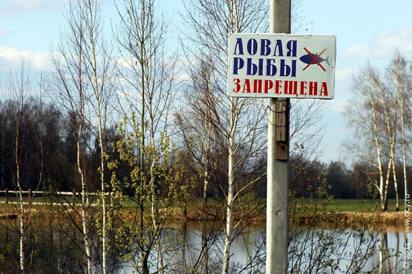 С 1 мая действует запрет на вылов рыбы 