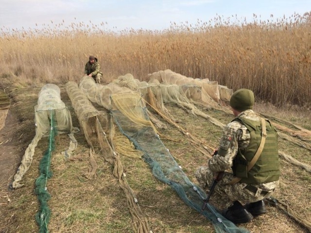 Пограничники обнаружили браконьеров с уловом на 315 тыс. гривен