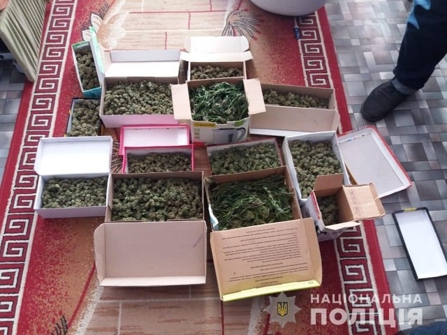 Задержана жительница Херсона, занимавшаяся выращиванием конопли
