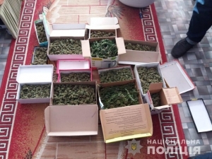 Задержана жительница Херсона, занимавшаяся выращиванием конопли