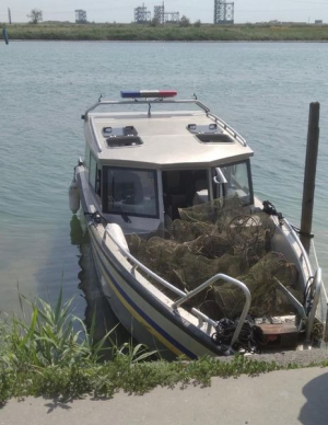 Полицейские из браконьерских ловушек выпустили в море рыбы на 170 000 гривен