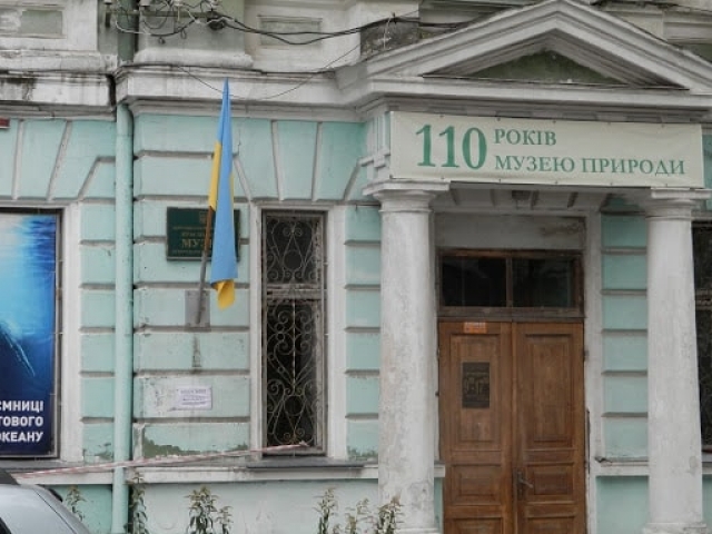 В Музее природы в Херсоне ремонт может завершиться в этом году