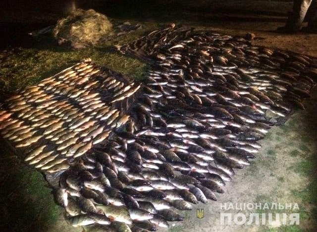 Жители Белозерского района причинили государству ущерб в размере 72 000 грн