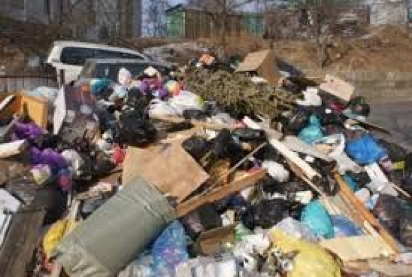 Мэр Херсона взялся за проблему стихийных свалок