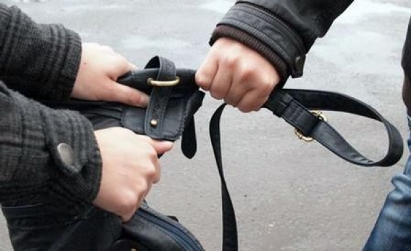 Уличный грабеж раскрыли по горячим следам