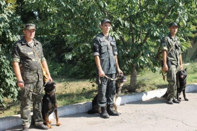 Херсонские кинологи посоревнуются в мастерстве 