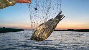 Оккупационные «власти» заявили о намерении развивать на Херсонщине рыболовный туризм