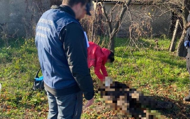 В Высокополье обнаружили тела трех расстрелянных жителей