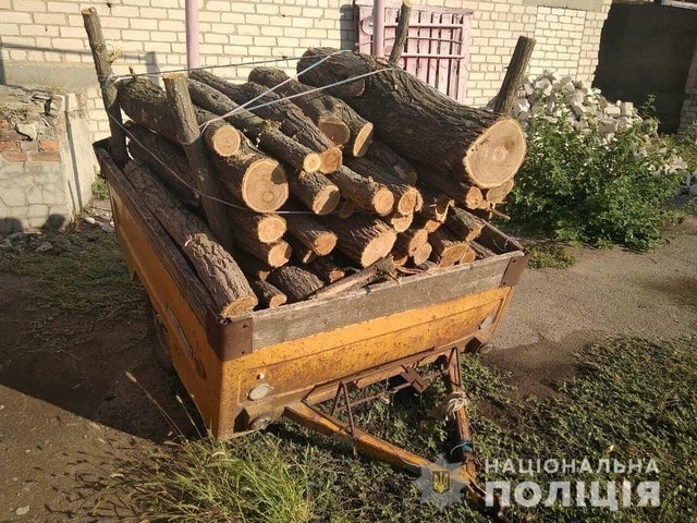 В Великолепетихском районе обнаружены нелегальные рубщики леса