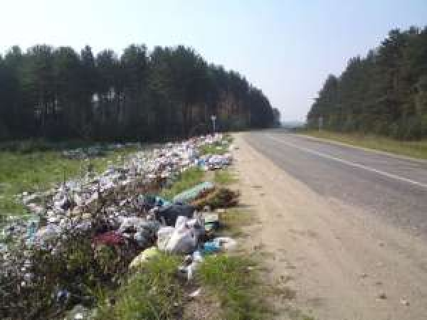 Херсонский автодор просит водителей не мусорить на дорогах