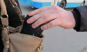 Вор-карманник, совершивший за год 27 краж, осужден к лишению свободы