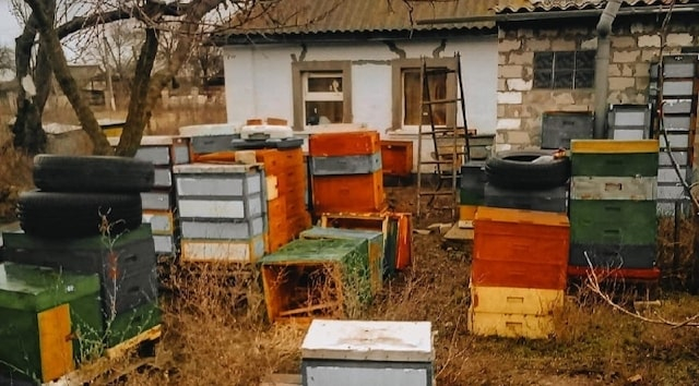 Семейная пасека в селе Киселевка заявила о закрытии производства