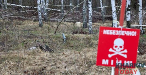 Двое сельских жителей подорвались на вражеской взрывчатке