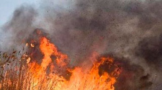 В Днепровских плавнях на левобережье участились пожары