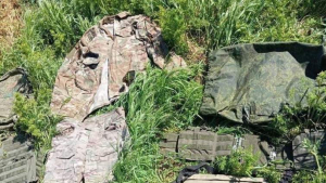 На Херсонщине 12 российских солдат сбежали с передовой