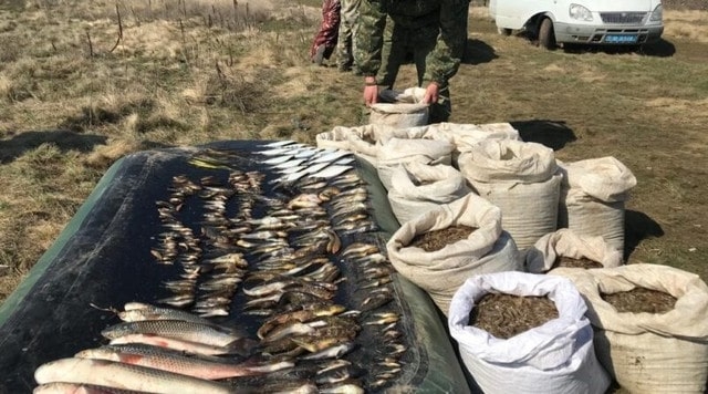 Двое браконьеров наловили креветок и рыбы на 300 тыс. гривен