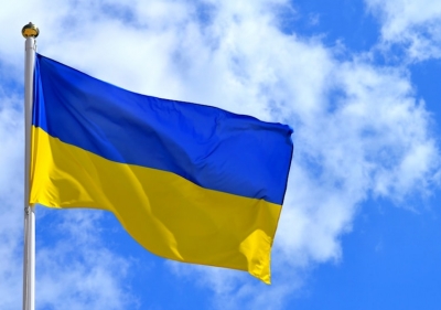 Флаг Украины (история появления, фото, значение цветов)