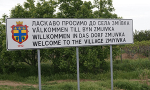 В селе Змиевка из 2 800 жителей осталось менее ста человек