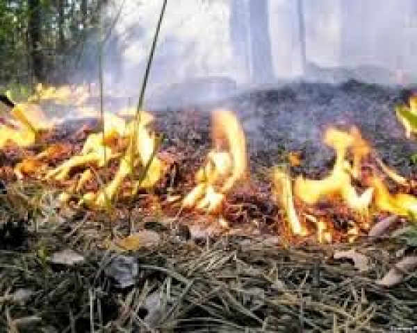 Пожароопасный период открыт на Херсонщине