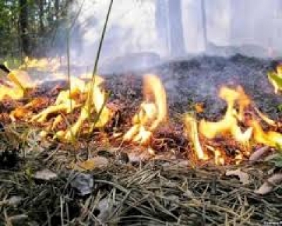 Пожароопасный период открыт на Херсонщине