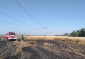 В области горят пшеничные поля