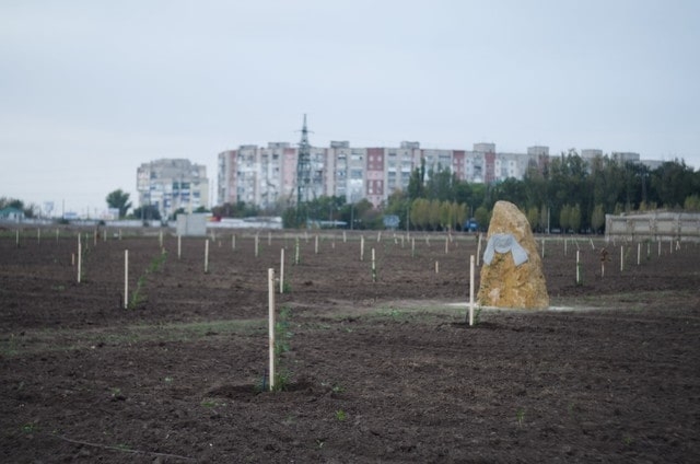 Уникальная дубовая роща высажена в Каховке