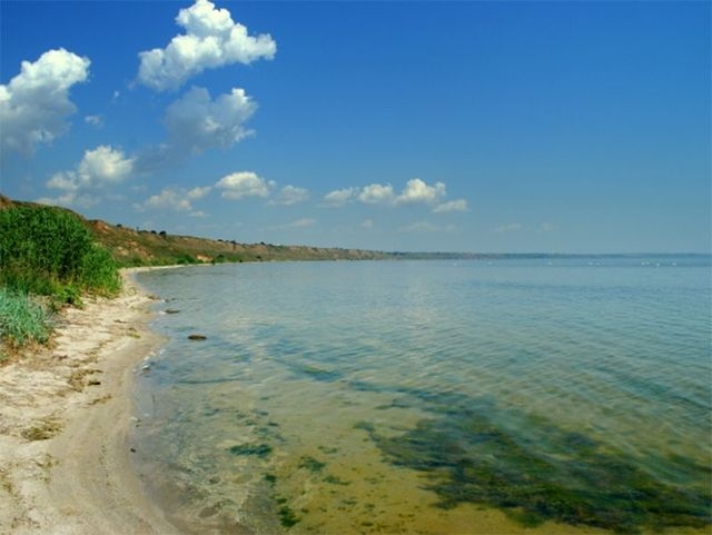 Летние проблемы Днепра – гниет органика и падет уровень воды