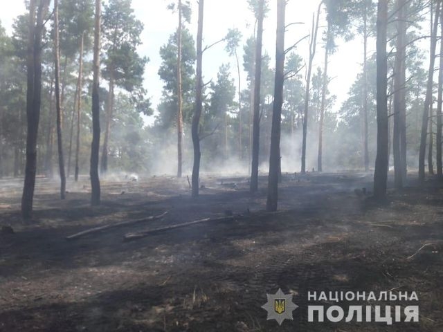 В Збурьевском лесничестве низовой пожар охватил 1,2 га леса