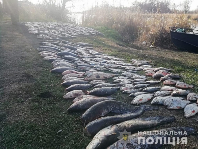 Трое браконьеров нанесли государству ущерб на сумму 75 000 грн