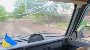 Полицейский экипаж вывез из Берислава раненого мужчину и его мать