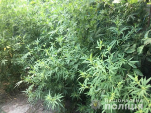 5,5 лет проведет в местах лишения свободы житель Новой Каховки